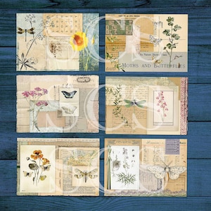 Puede incluir: Un collage de seis im&aacute;genes de estilo vintage con mariposas, lib&eacute;lulas e ilustraciones bot&aacute;nicas. Las im&aacute;genes est&aacute;n dispuestas en una cuadr&iacute;cula y tienen una est&eacute;tica descolorida y antigua.