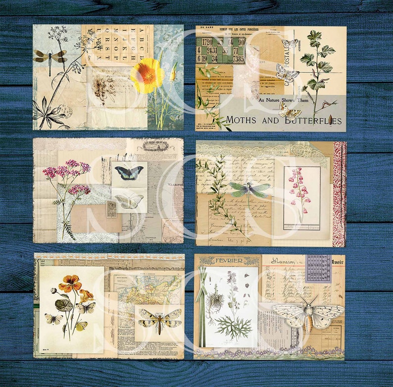 Puede incluir: Un collage de seis im&aacute;genes de estilo vintage con mariposas, lib&eacute;lulas e ilustraciones bot&aacute;nicas. Las im&aacute;genes est&aacute;n dispuestas en una cuadr&iacute;cula y tienen una est&eacute;tica descolorida y antigua.