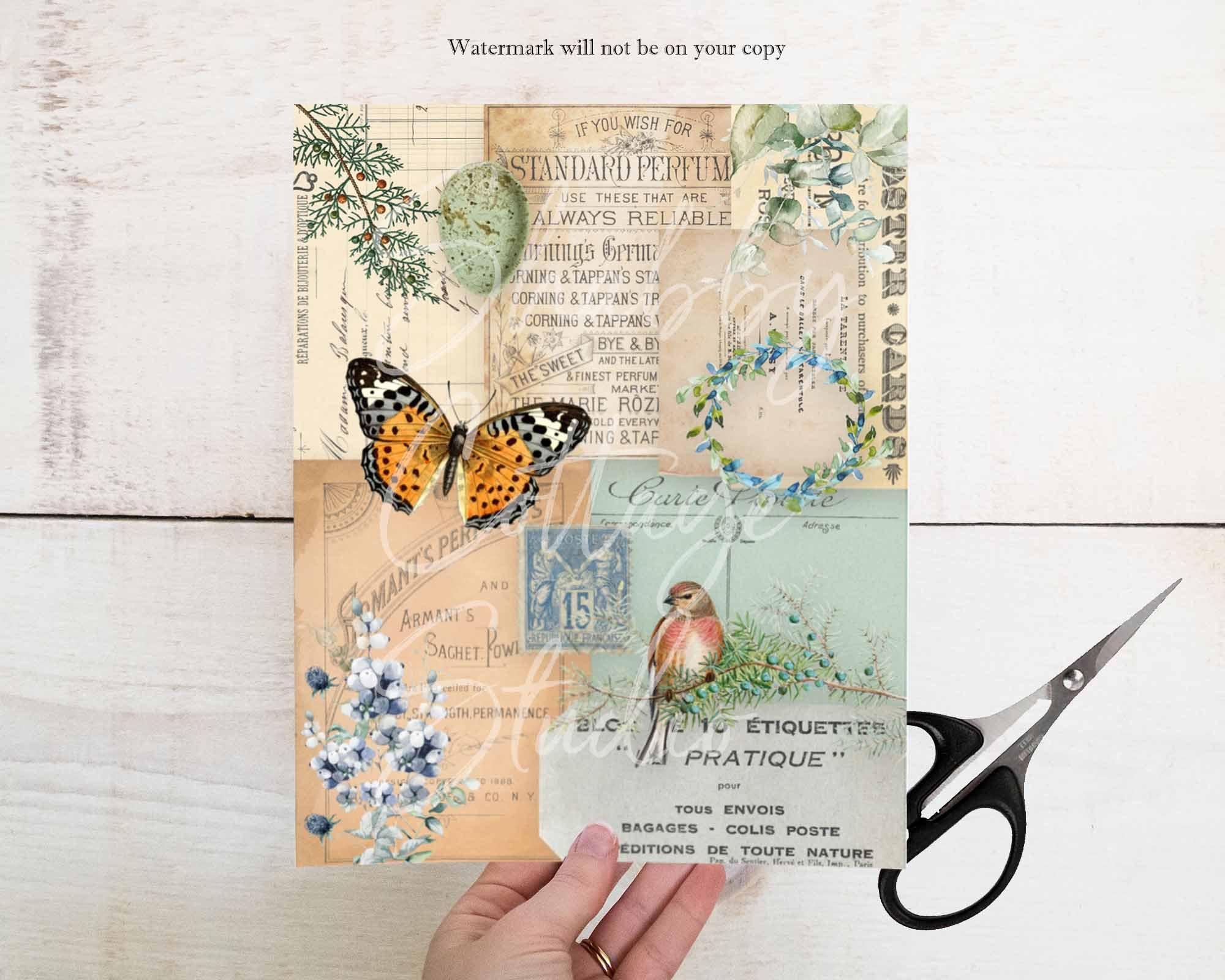Ephemera Collage Papers 1 - Printable Paper Pack - Digital Collage ...