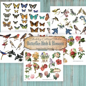 Mariposas Pájaros y Flores Cortes quisquillosos para revistas basura - Junk Journal Ephemera - Digital Collage Sheet Printable Download
