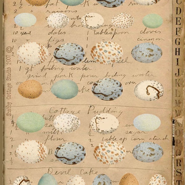 INSTANT DOWNLOAD DIGITAL Collage Sheet Bird Eggs