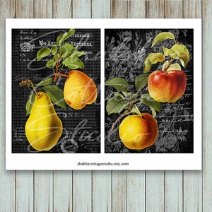 5x7 Inch Printable Papers Pack - Instant Download Art Prints - for ...