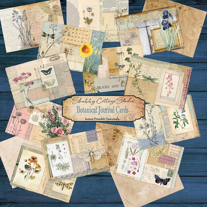 Puede incluir: Una colecci&oacute;n de tarjetas de diario bot&aacute;nico imprimibles con im&aacute;genes de flores, mariposas, polillas y lib&eacute;lulas. Las tarjetas son de estilo vintage con una est&eacute;tica shabby chic. El texto en las tarjetas dice "Moths and Butterflies" y "Shabby Cottage Studio Botanical Journal Cards Instant Printable Downloads".