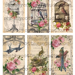 May include: Six vintage-style images featuring birds in cages, nests, and flowers. The images have a distressed, antique look and include text that says "Spring Opening" and "April 2, 3 and 4, 1884".