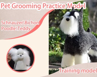 Modèle de pratique de toilettage pour animaux de compagnie : nounours, schnauzer, bichon frisé, caniche. Mannequin chien pour travaux manuels. Jouet éducatif.