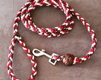 Paracord, Dog, Leads, Braided Dog Leads, Pet Leashes