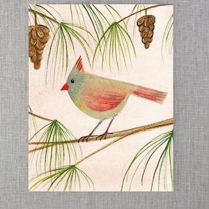 female cardinal - notecard