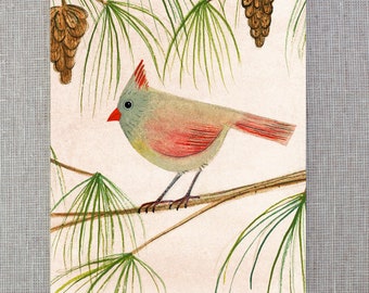 female cardinal - notecard