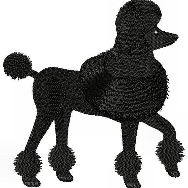 Large Black Poodle Machine Embroidery Design (6 x 10 hoop or larger)