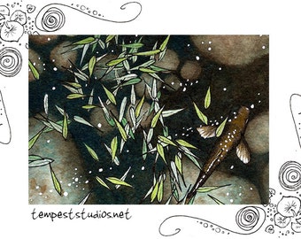 Olive Koi Pond ACEO 2.5x3.5 Limited Edition Print Mini Trading Card Art