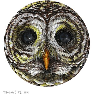 Owl ORIGINAL Round Acrylic Painting Small Art image 2