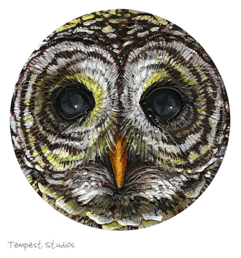 Owl ORIGINAL Round Acrylic Painting Small Art image 2