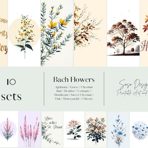 Lote de 30 pósters digitales, Colección Floral Blossoming: 10 juegos de 3 pósters sobre Flores de Bach, decoración de pared