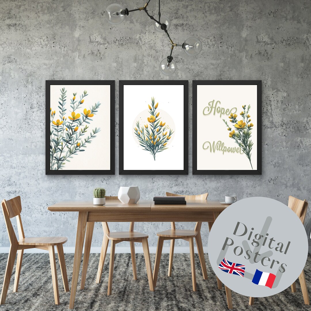 Gallery image with a fresh perspective