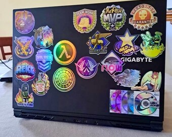 Stickers from Counter Strike in real life Set Katowice - CS 2 - Global Offensive decal Gamer Gift iBuyPower / Reason / Titan holo ANY