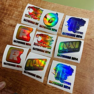 Katowice 2014 Counter Strike Sticker im echten Leben! Bestes Gamer Geschenk! CS2 Cybersport