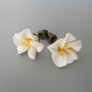 Boucles doreilles en fleurs tropicales frangipaniers blancs image 3