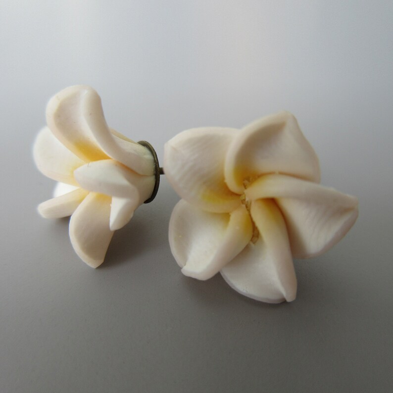 Boucles doreilles en fleurs tropicales frangipaniers blancs image 1