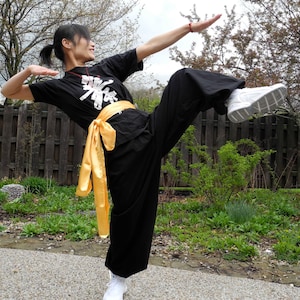 Kung Fu Jacket Etsy Hong Kong