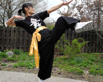 Kung-fu Belt ( Polysatin )