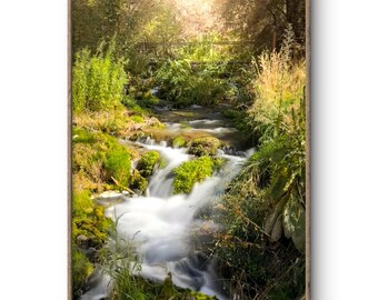 Colorado Rifle Falls State Park, Mountain Creek Through Green Forest, Waterfall Nature Landscape Photography Wall Art
