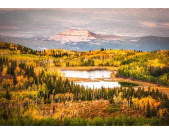 Grand Mesa Aspen Forest Autumn Print – Colorado Landscape Photography Wall Art for Nature Inspired Home Decor
