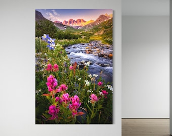 Colorado Columbine Indian Paintbrush Wildflower Print, San Juan Mountains Alpine Meadow Sunset Wall Art