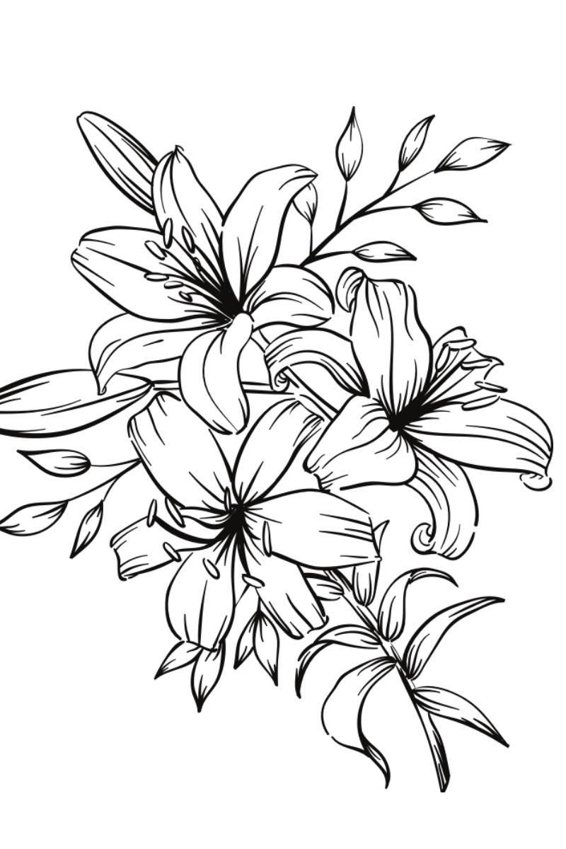 Coloring Book Flower 10 Pages Etsy