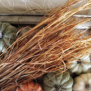 May include: A rectangular metal tray with ornate handles containing a bundle of dried golden-brown grass stalks surrounded by several small, decorative pumpkins in shades of muted green, creamy white, and burnt orange arranged on the surface.
