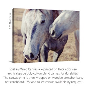 Puede incluir: Impresi&oacute;n en lienzo con dos caballos, uno gris y otro blanco, con un tono sepia suave. Los rostros de los caballos est&aacute;n cerca, destacando sus ojos y narices. El lienzo tiene 3,8 cm de grosor.
