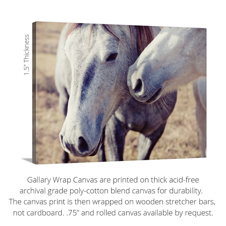 Puede incluir: Impresi&oacute;n en lienzo con dos caballos, uno gris y otro blanco, con un tono sepia suave. Los rostros de los caballos est&aacute;n cerca, destacando sus ojos y narices. El lienzo tiene 3,8 cm de grosor.