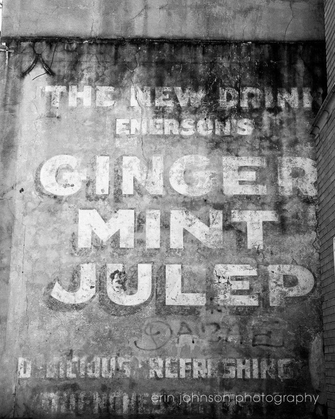 Black and White New Orleans Ginger Mint Julep Art French Etsy