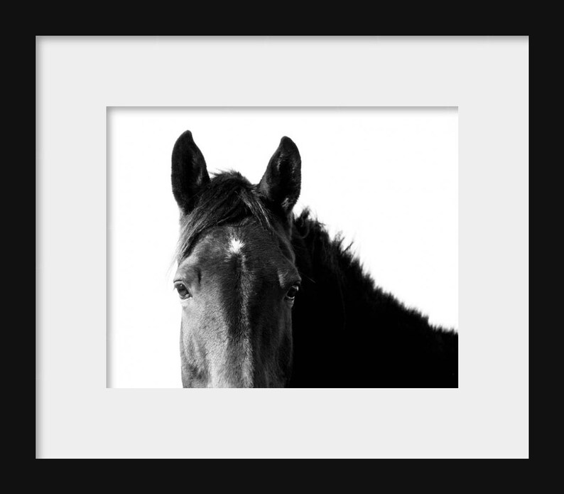 Black and White Horse Canvas Wall Art Print Rustic Farmhouse Etsy