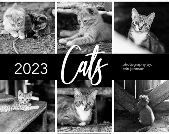 2023 Cats Desk Calendar, 5x7 Looseleaf Photography Calendar, Cute Black and White Kitten Photography,  Animal Art