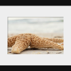 Starfish Beach Photography Art, Nautical Ocean Print, Large Living Room Beach Cottage Wall Art image 2