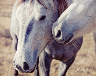 Horse Fine Art Photography Print, Farmhouse Art Decor, Farm Living Room Wall Art, Animal Photo, Horse Kisses, Nursery Decor, Country Living