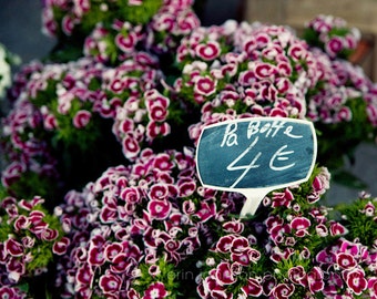 French Flower Market Photography Print, Floral Wall Art, European Prints, Marseille France Canvas Art