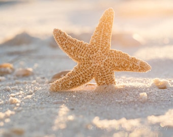 Starfish Fine Art Photography Print, Beach Cottage Wall Art, Beach House Bathroom Decor