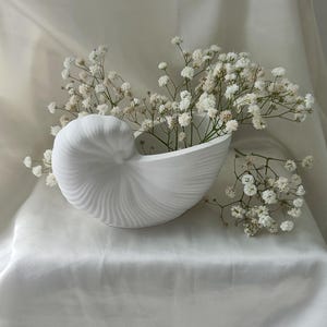 Könnte beinhalten: Weißer Keramik-Muscheltopf mit einem weißen Blumenarrangement. Der Topf ist in Form einer Nautilus-Schale geformt.
