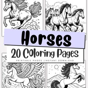 Horse Coloring Pages for Kids, Sketch Drawing, Printable Download, Animal Coloring Book, Wild Horses, Equine, Horse Lover Gift
