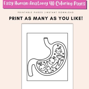 Stomach Coloring Human Anatomy Coloring Pages for Kids: Educational Science Learning ...
