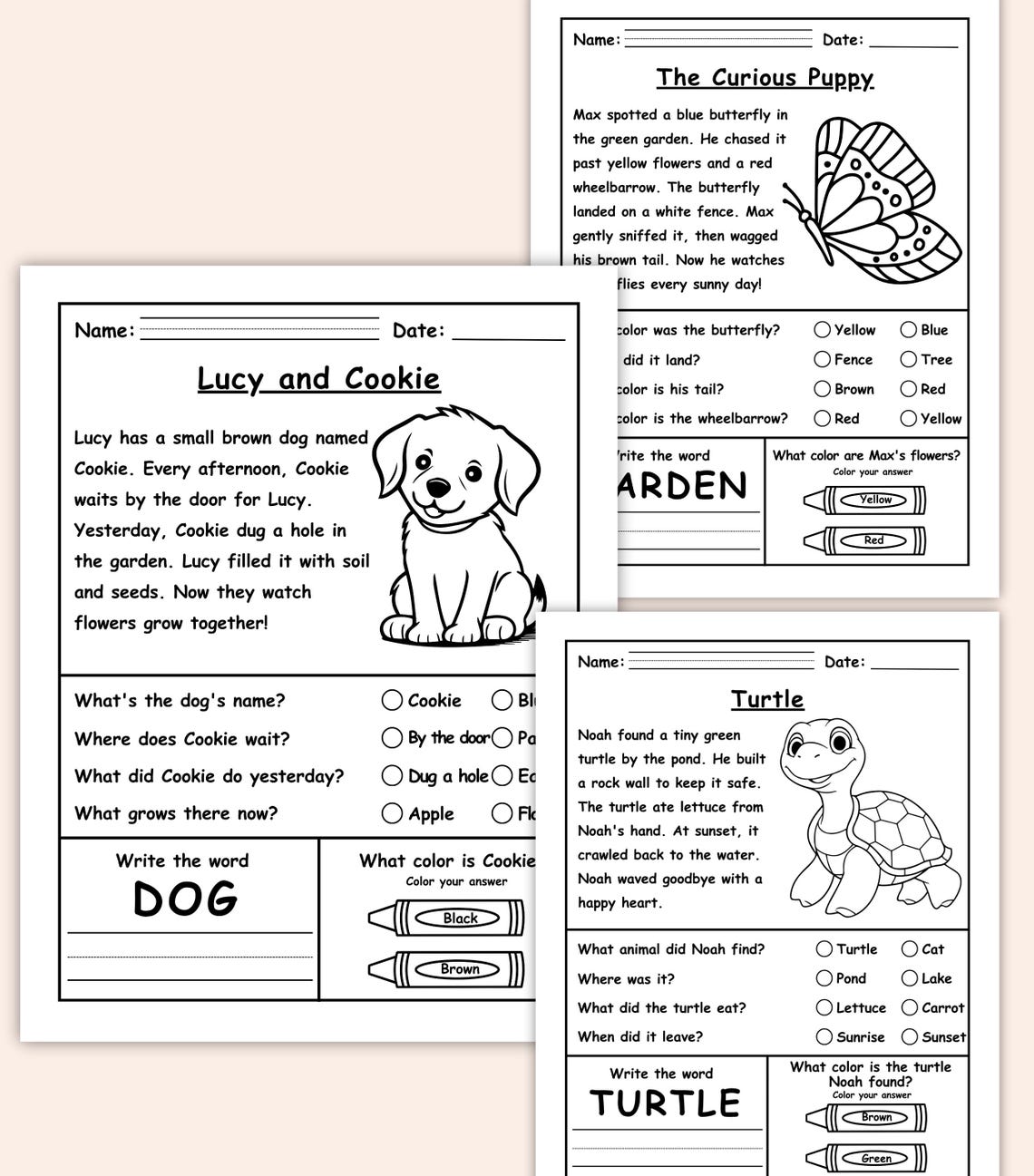 Reading Comprehension for Kids, Printable Kindergarten Activity