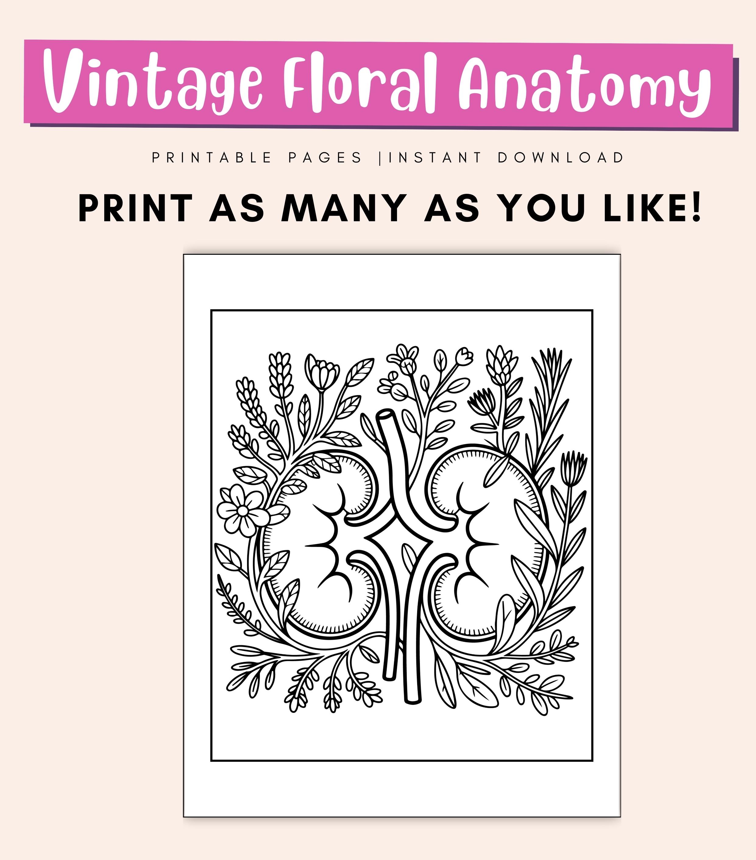 Vintage Floral Anatomy Coloring Pages: Human Body Educational Art for ...
