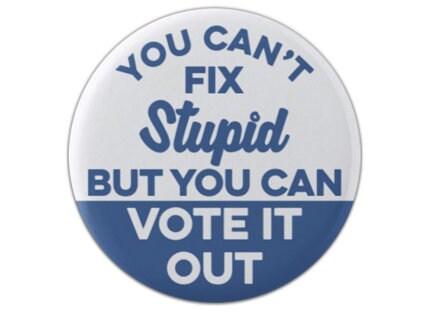 You Can't Fix Stupid But You Can Vote It Out Button 1.25" or…