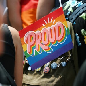 Pride Sticker Pack: Printable and Digital LGBTQ+ Planner Stickers, iPad Stickers image 4