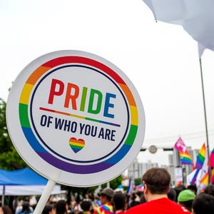Pride Sticker Pack: Printable and Digital LGBTQ+ Planner Stickers, iPad Stickers image 2