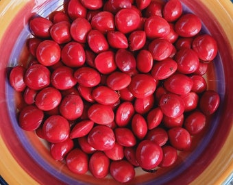 30 Seeds Red Sandalwood Tree - Adenanthera Pavonina - Lucky Beads