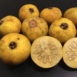 May include: A collection of yellow guavas, some whole and some halved, revealing the inner flesh and seeds. The guavas have a speckled appearance and a brown stem. The cut guavas show a star-like pattern of seeds.