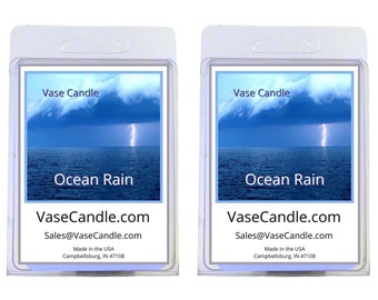 Ocean Rain Vase Candle Melts - The fresh scent of an ocean breeze | Fresh Made to Order | 2 Packages of 2.8 oz Melts/Tarts