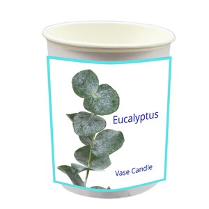 Eucalyptus Vase Candle Refills - Smells like Eucalyptus | 50 Hour Burn Time | Fresh Made to Order